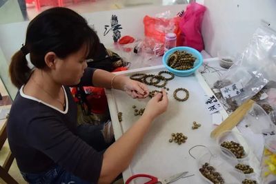 茂名沙垌村 以“一棵樹”為媒，茶香沉香共譜富民曲